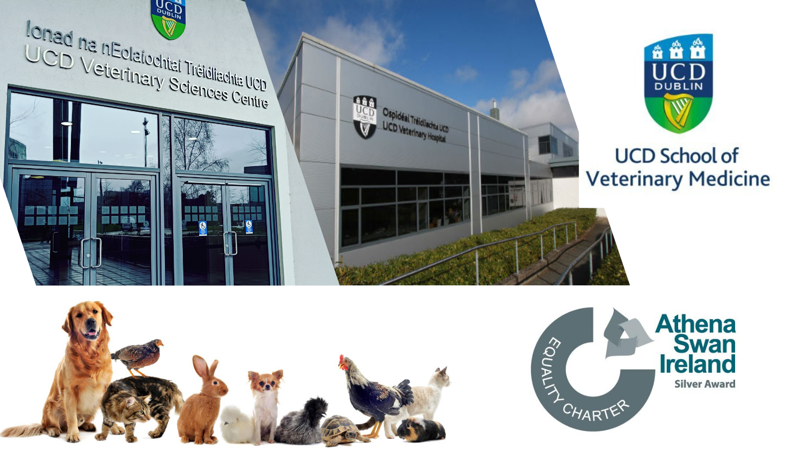 Poster containing images of the entrances to UCD Veterinary Sciences and UCD Veterinary Hospital building, with a photo of a number of small animals and birds and the UCD shield and Silver Athena SWAN logo
